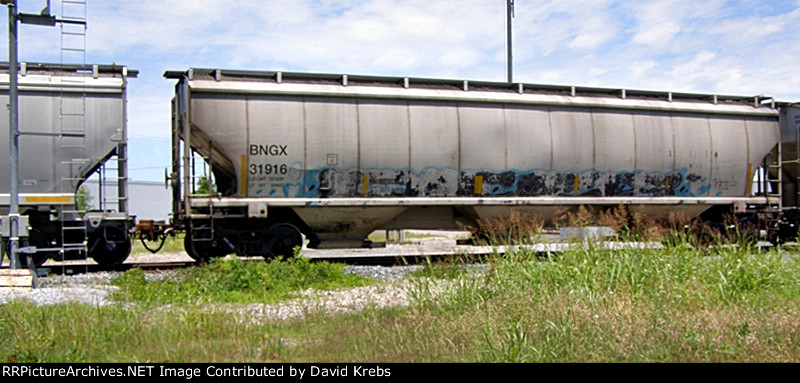 BNGX 31916
